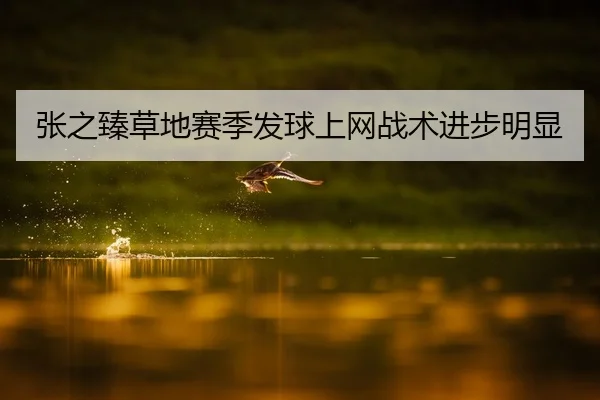 张之臻草地赛季发球上网战术进步明显